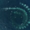 Baleias Jubarte criam armadilha de bolas na Antártica